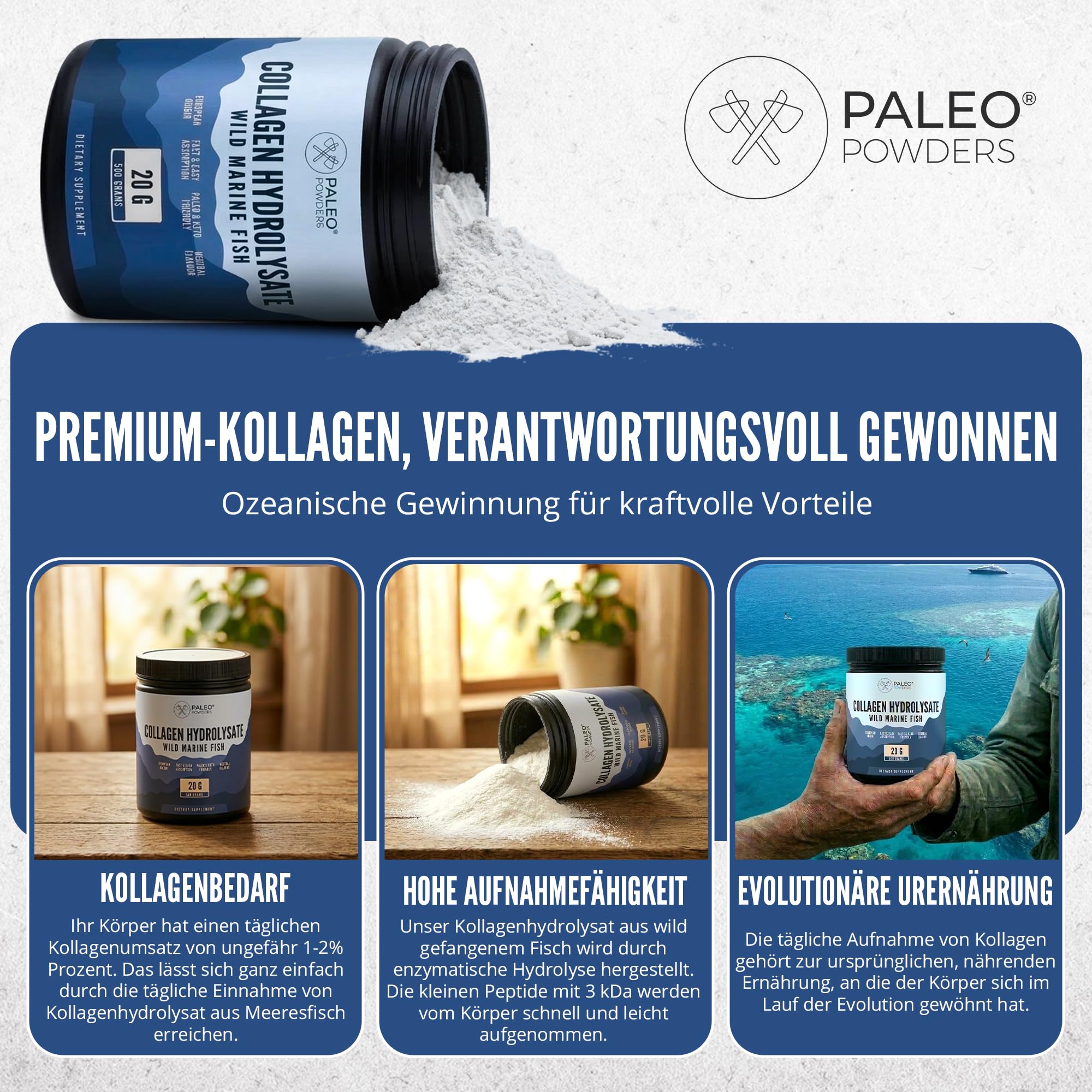 Poudre hydrolysate de collagène - Morue sauvage capturée d'Europe - 500 g