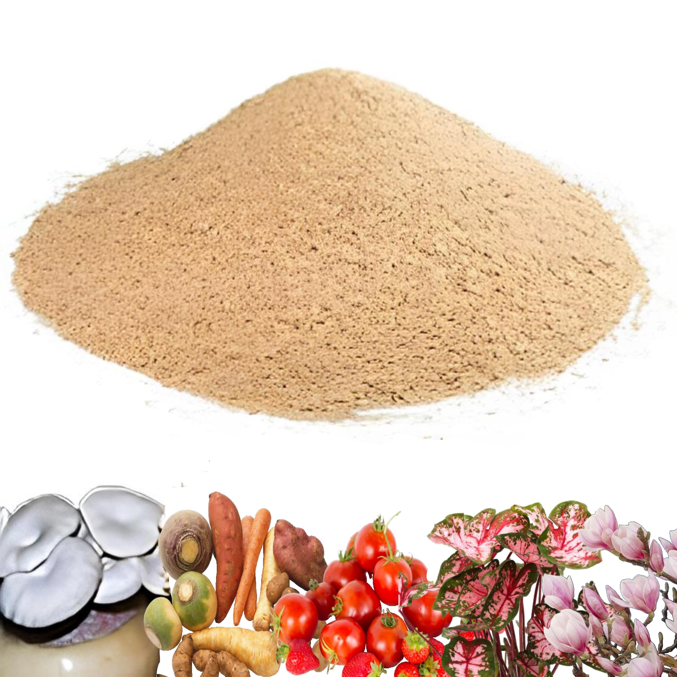 Earth Elixir, Raw Dry Wood Powder, ideal blend for Mushrooms, Flowers, Red and Blue berry and Root Vegetables: 100% Natural Nutrient-rich potting mixture