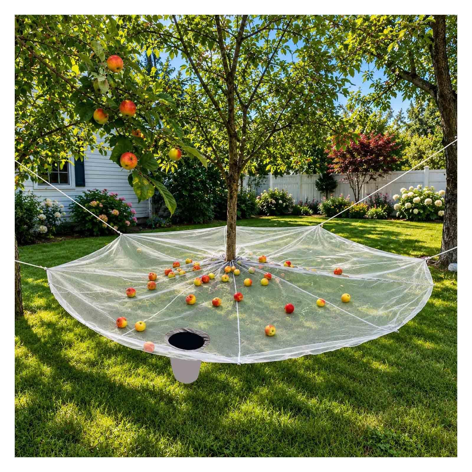 ZaiZaiSMao Under Tree Fruit Catcher Net - Heavy Duty Hdpe Olive Harvest Net Under Tree, Reusable with Fruit Export Hoop and Loop Side for Olive, Walnut, Apple, Pecan,Gray-20×20FT（6 * 6m）