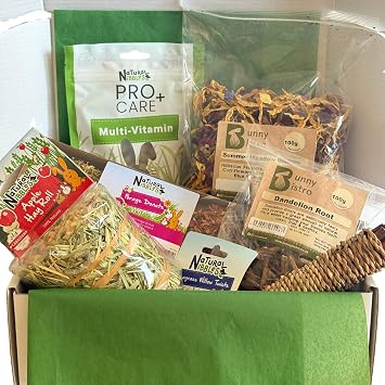 Bunny Bistro Monthly Forage Box, Rabbit & Guinea Pig Treat Bundle, Small Animal Boredom Buster