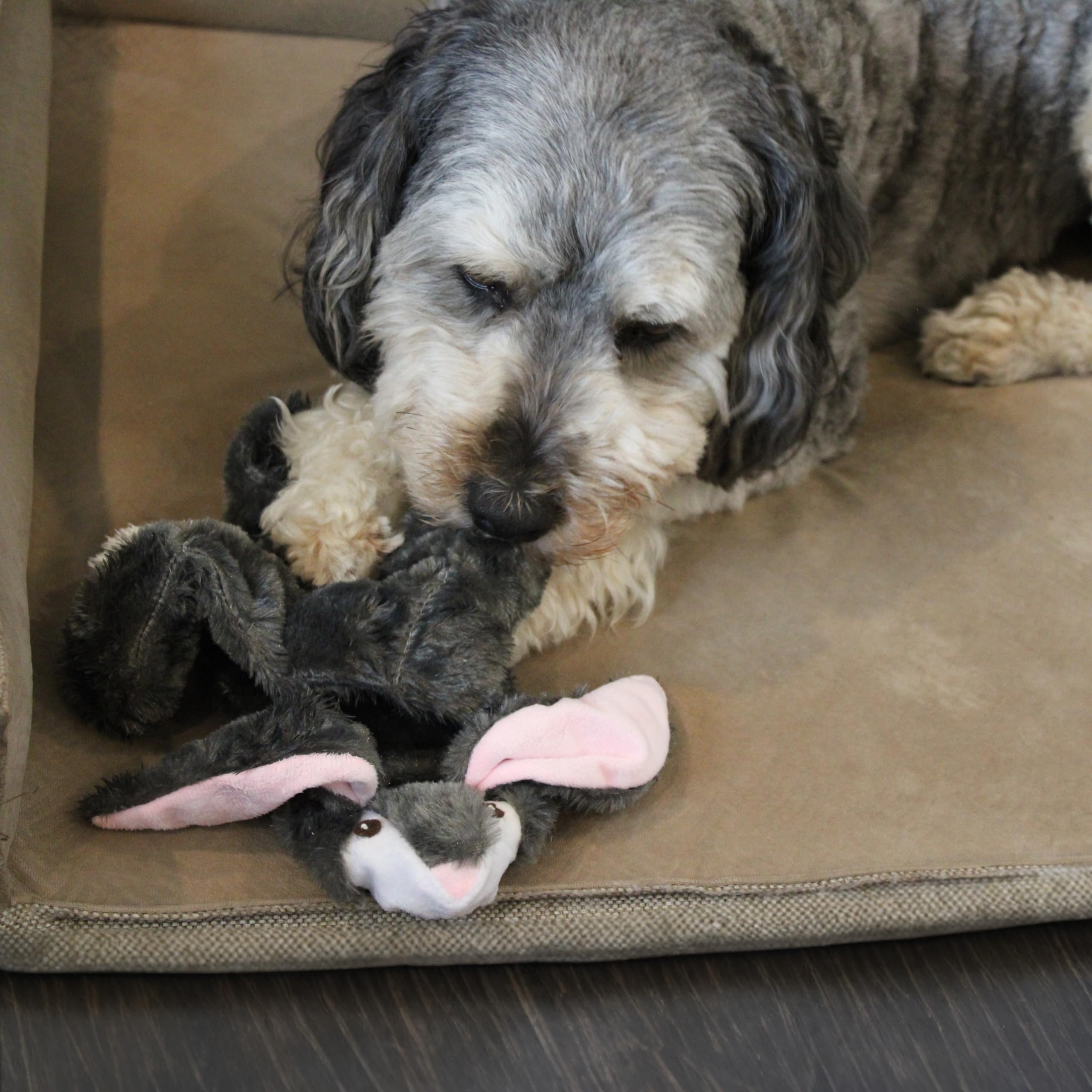 Amazon | Ethical犬5727 SkinneeezマルチSqueaker Rabbit Assorted、20