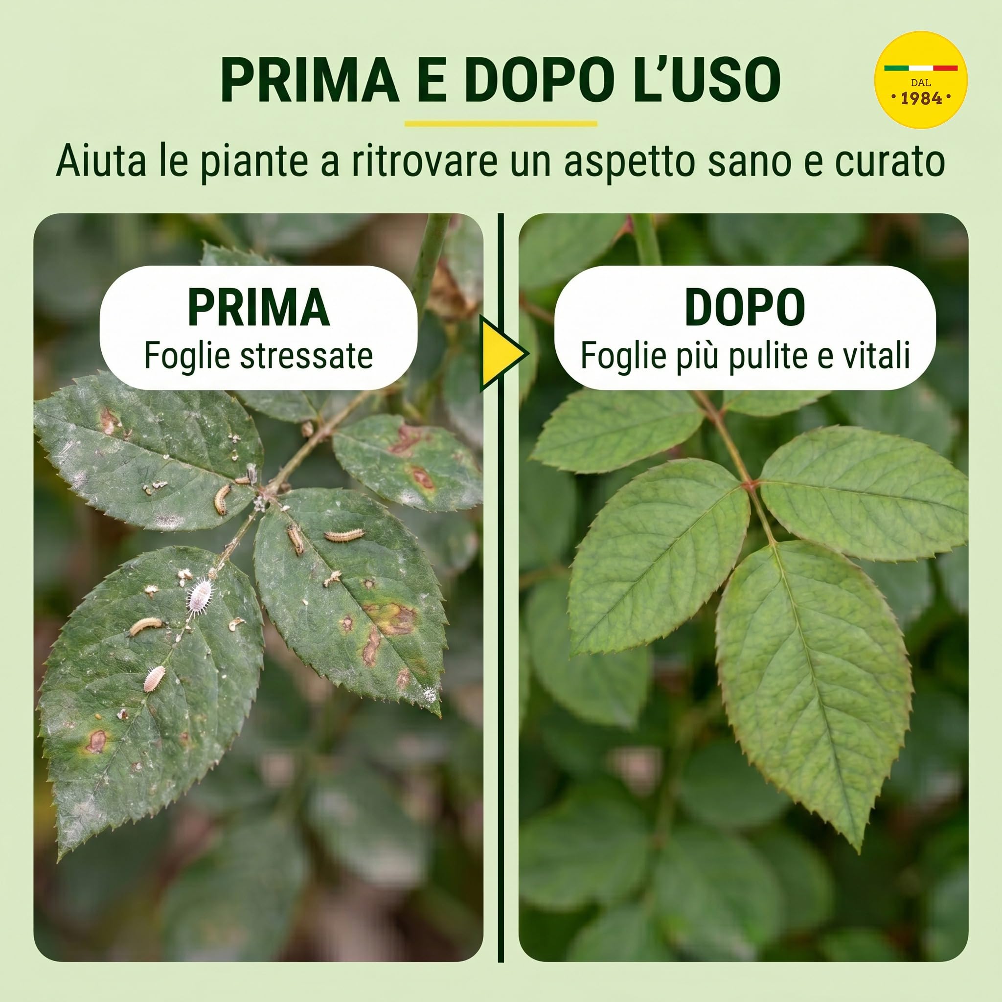 i consigli dell'esperto Los Consejos del Experto Aceite de Neem, 3L