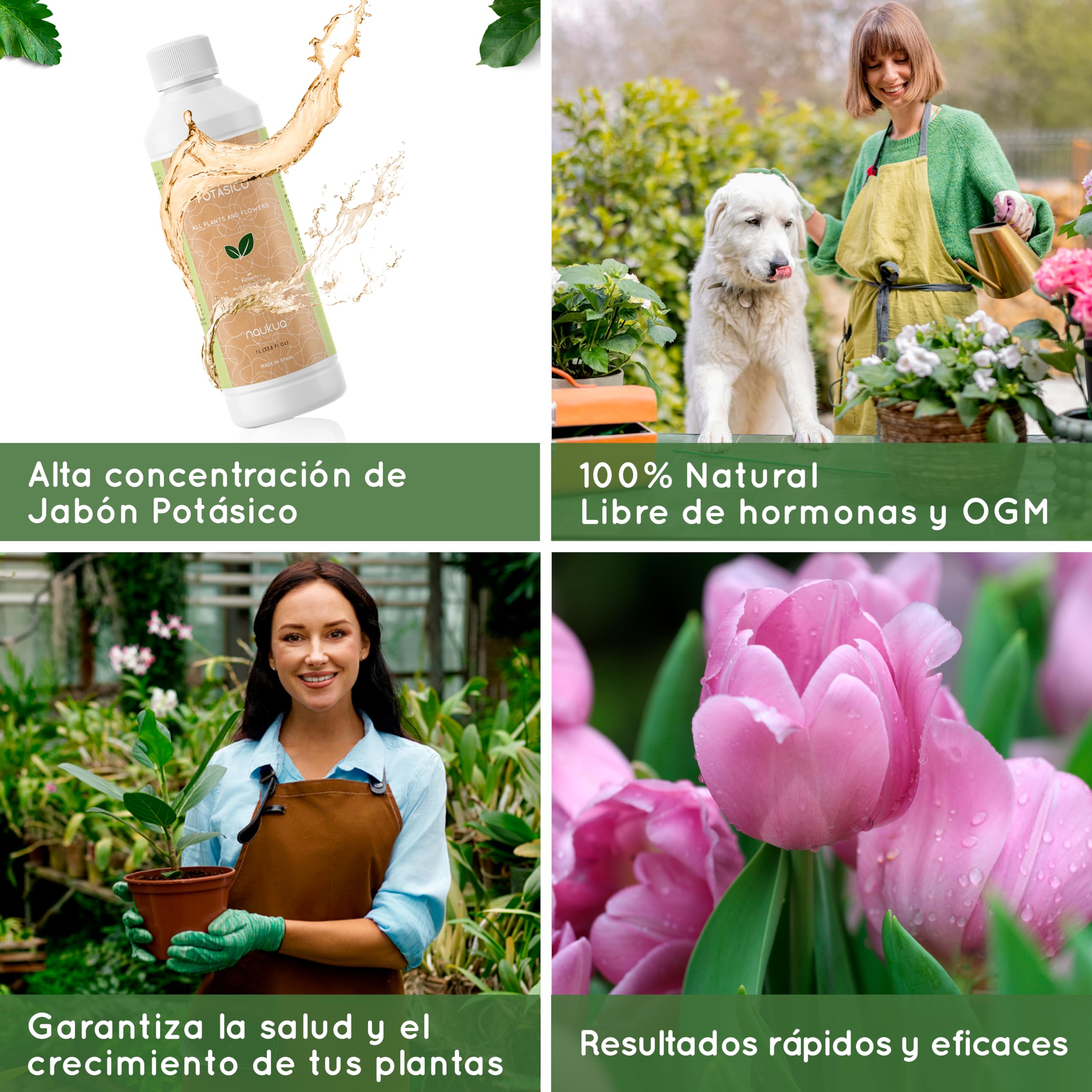 Fyteko Active Les Défenses Naturelles Des Plantes : Nous Avons Démarré