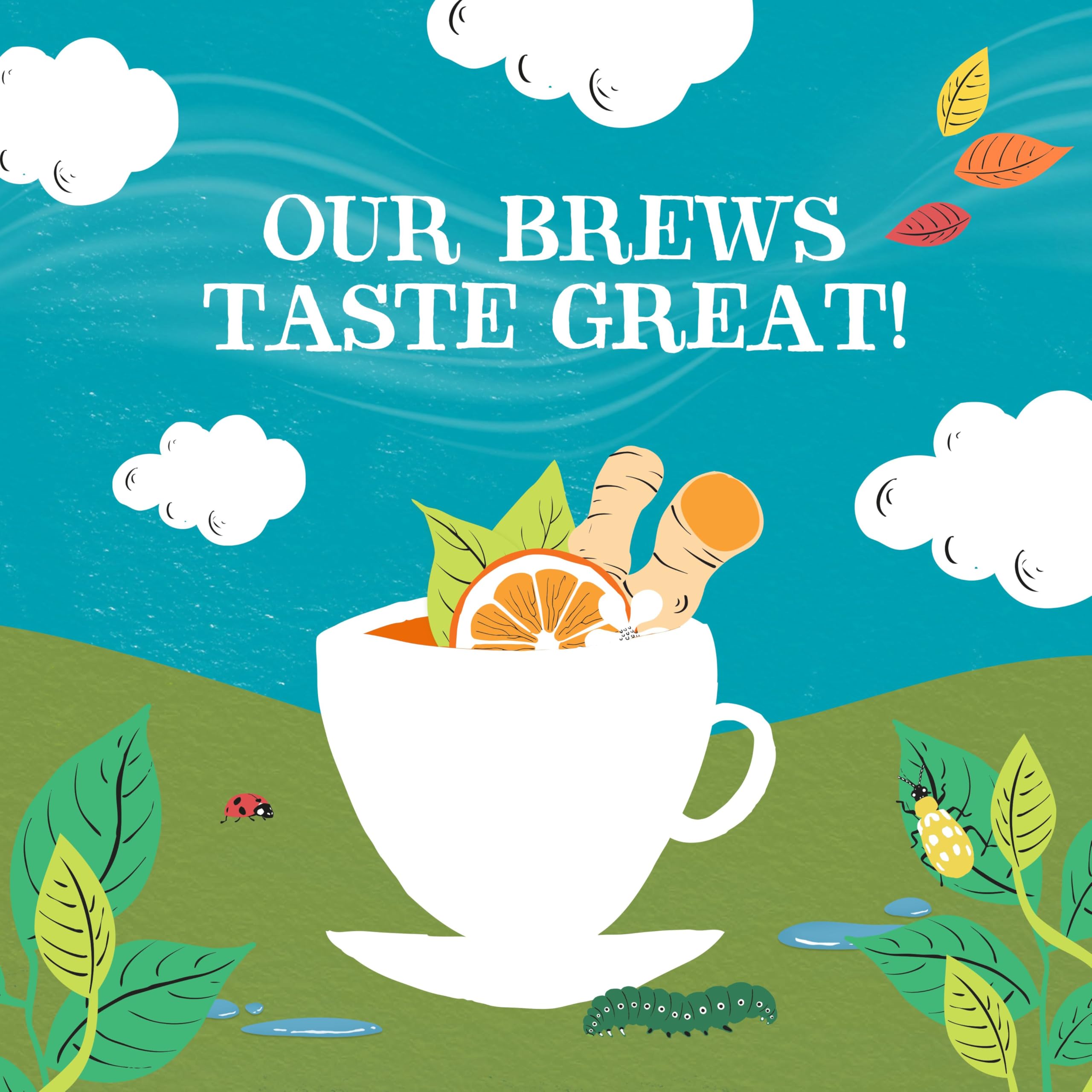 Clipper Tea, Orange & Turmeric, Organic Tea with Licorice Root, Orange Peel and Hibiscus, Plant Based Herbal Tea, Caffeine Free British Tea, 1 Pack, 20 Unbleached Tea Bags thumbnail 4