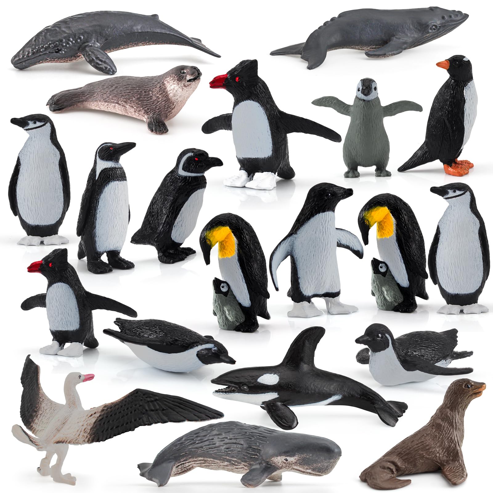 マッコウクジラの歯 ペンギン置物 Yahoo!オークション -「鯨歯ペンギン」の落札相場・落札価格