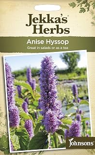 Johnsons 22939 Herb Seeds, Anise Hyssop