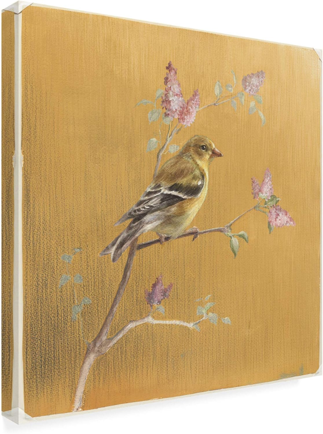 14" x 14" Gold Canvas Art with Female Goldfinch