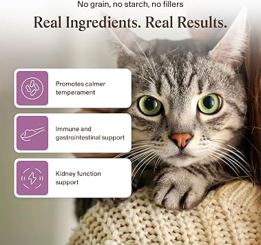 Real Mushrooms Cat Supplement Powder for Kittens and Seniors, 2.65oz