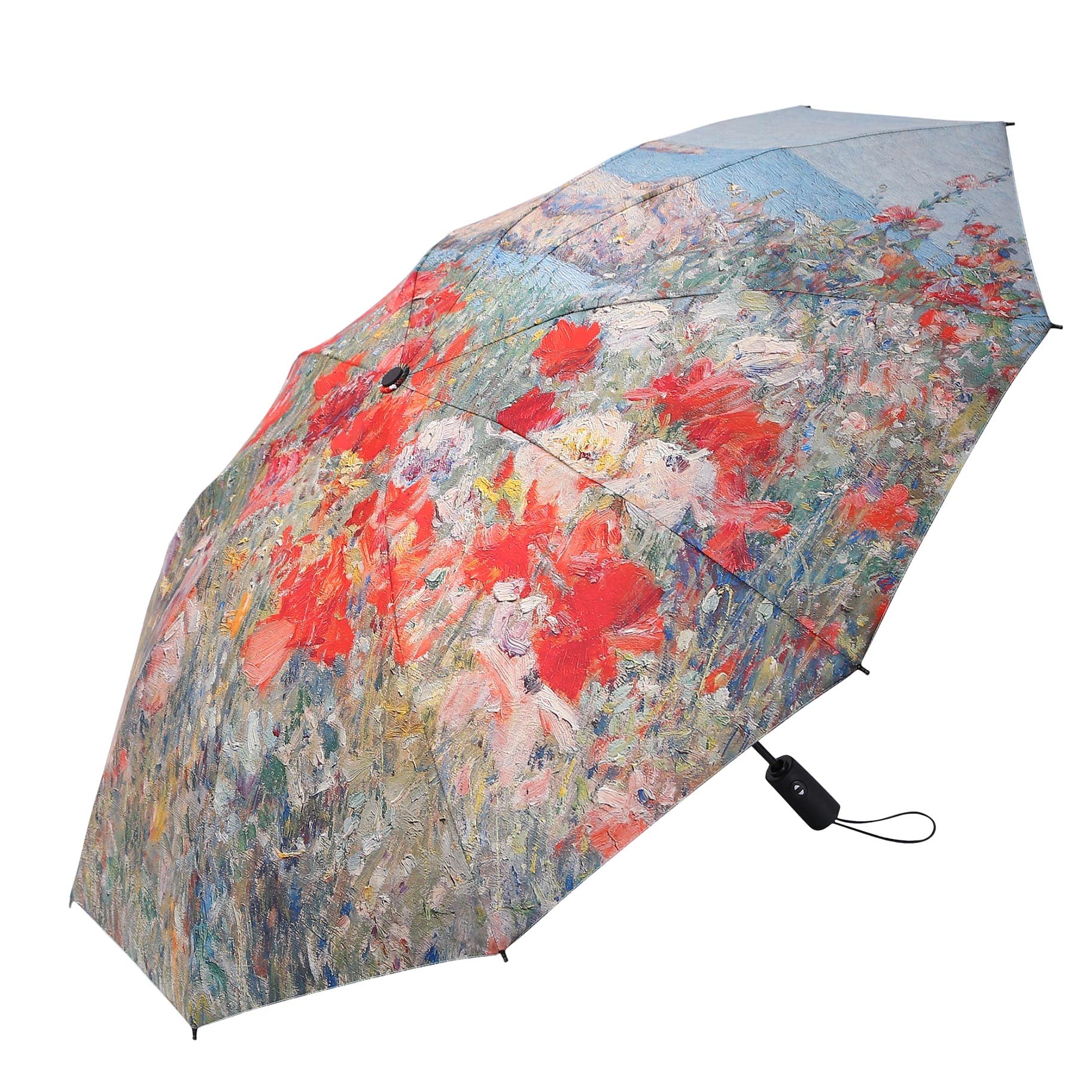 RainCaper Faltbare Reise-Regenschirme (Celias Garten)
