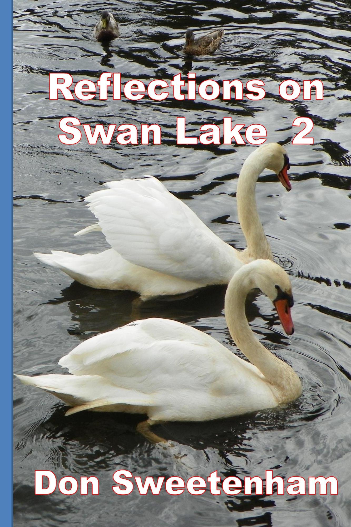 Reflections on (Swan Lake Book 2)