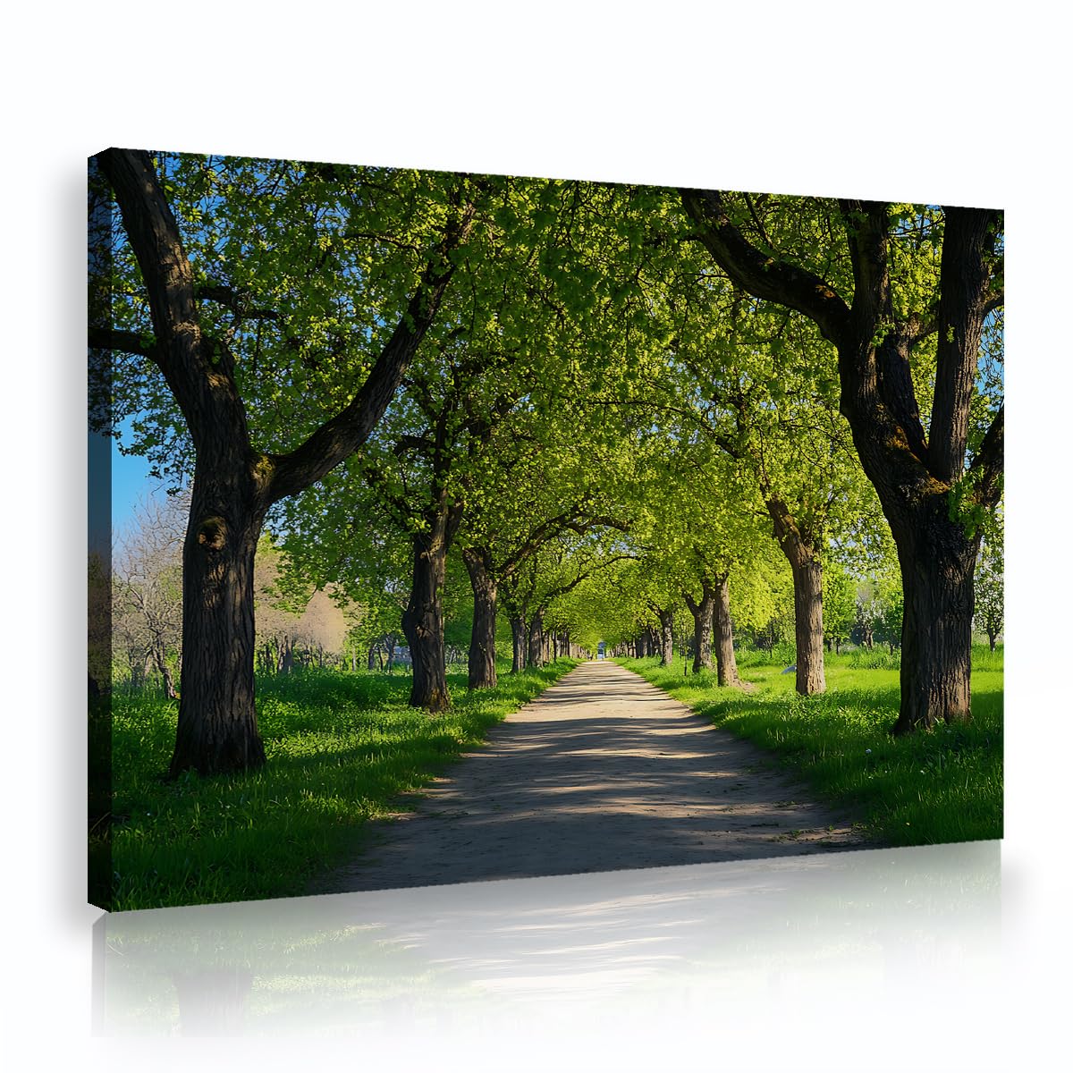 Via Vela Nature Green Tree Tunnel Framed Canvas Wall Art for Living Room Spring Decor Sunny Forest Path Landscape Poster Prints for Bedroom Office Corridor 50x75cm