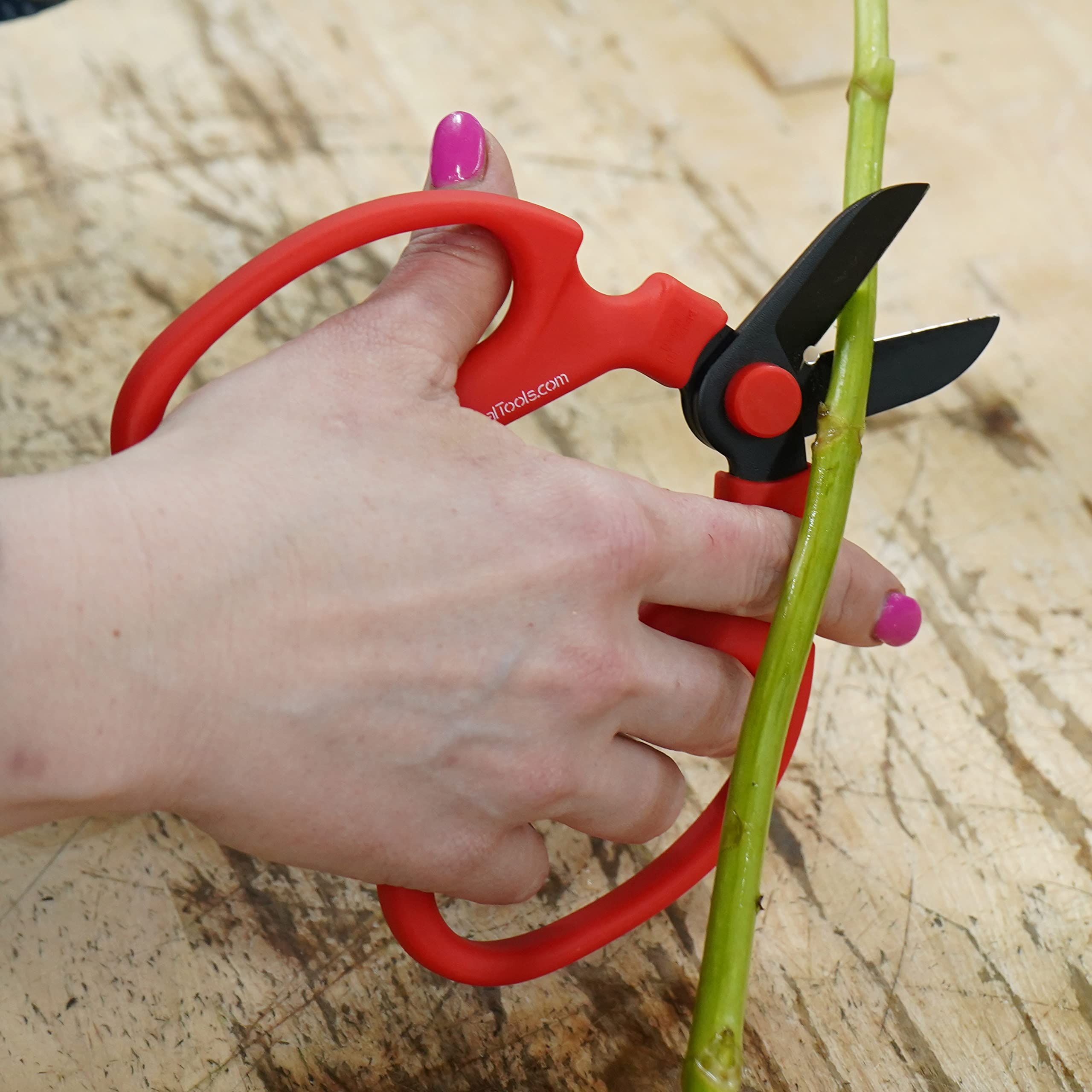 Meraki Blumenschere / Gartenschere mit schwarzen Klingen aus Karbonstahl, 17 cm, Farbe: Amaryllis