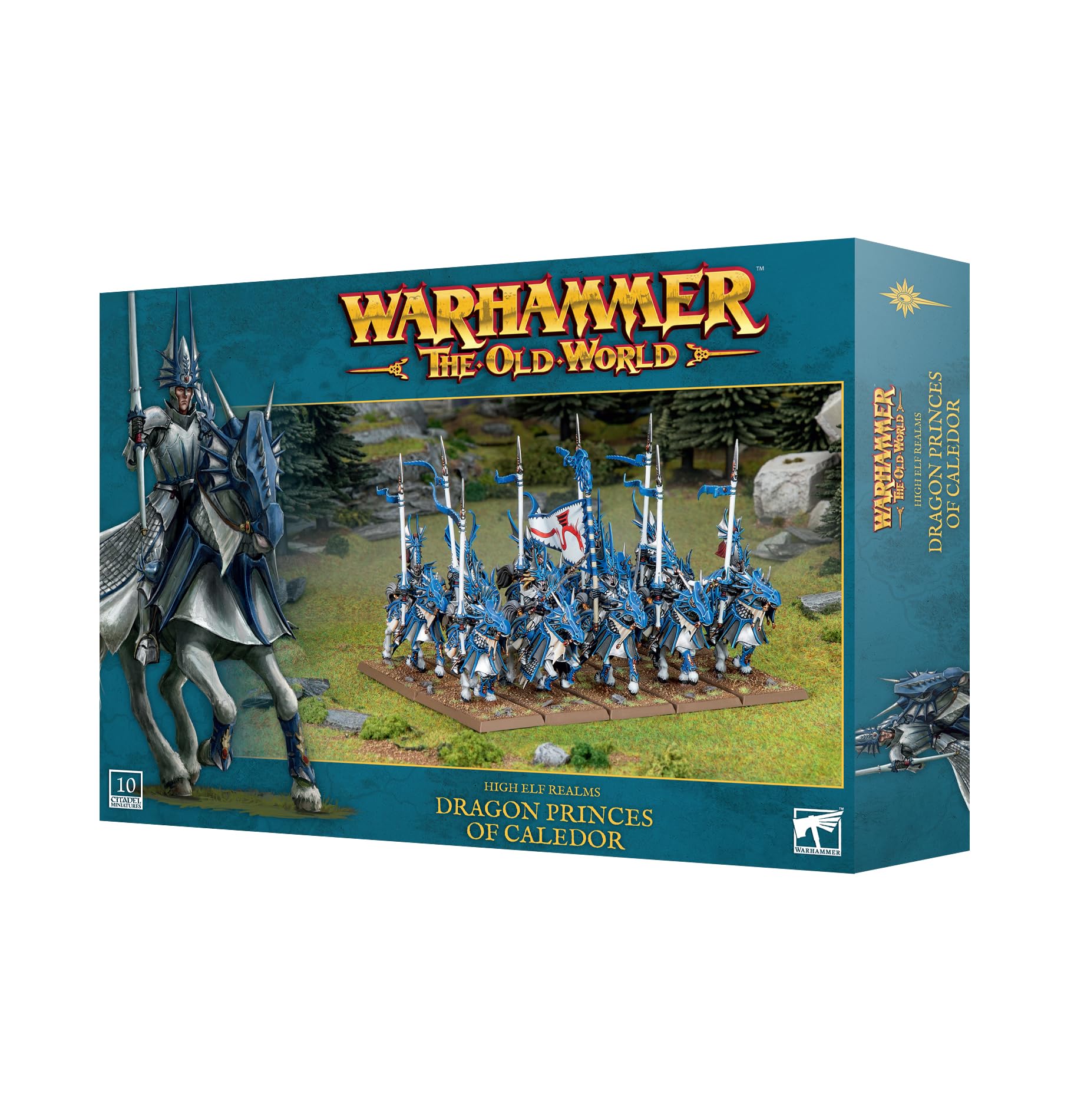 Games Workshop - Warhammer - The Old World: High Elf Realms: Dragon Princes of Caledor, Grey, Medium to Large