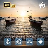 Island Harbor 4K – Boat Creaks, Gull Calls & Soft Surf TV Screensaver
