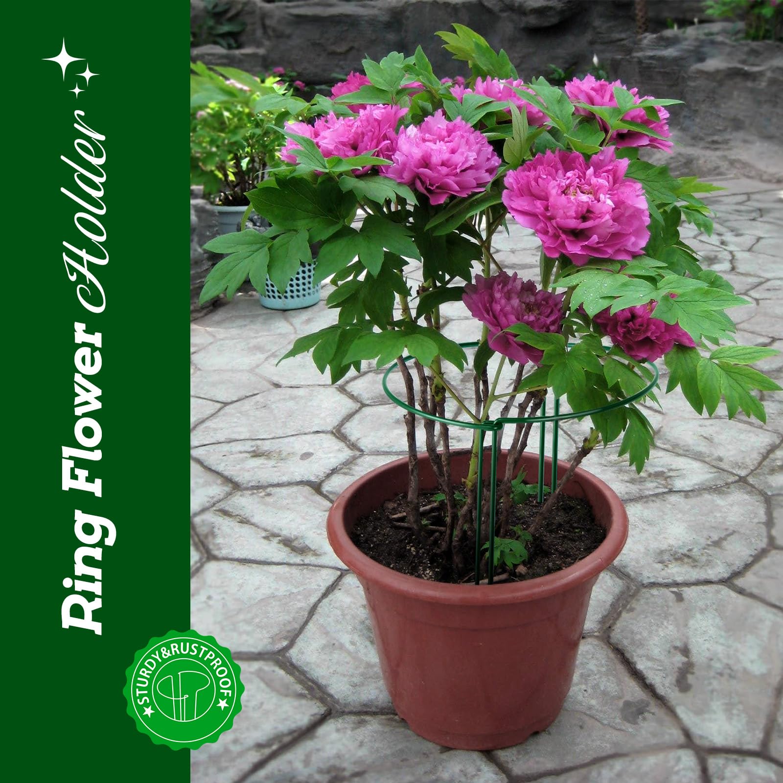 6 Pièces Tuteurs pour Plantes, 25 * 80CM Demi Rond Supports de Plantes Réglables, Jardin Plantes Support Pile Anneau Cage, Anneaux de Support en Métal Demi Ronds pour Pivoines Hortensias Roses Sédum