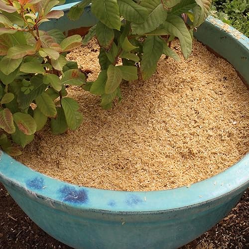 Miniatura 3 de Cascos de arroz prémium de Gardenera - Crea plantas saludables y resistentes a través de una aireación y drenaje mejorados, 20 cuartos de galón