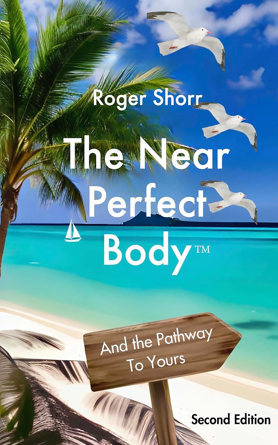 The Near Perfect Body: And the Pathway to Yours