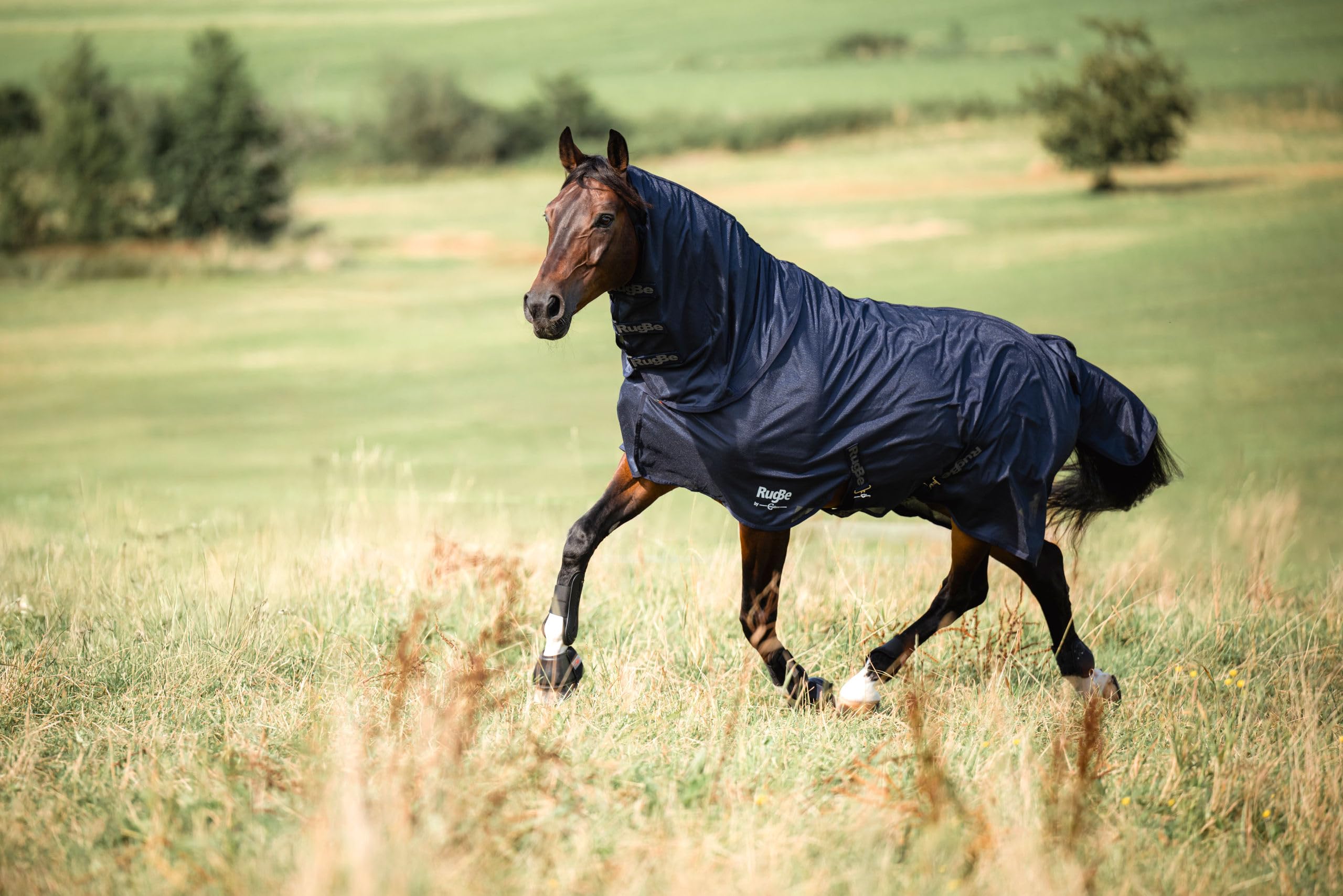 Covalliero Manta antimoscas RugBe Superfly, Manta para Caballos, Manta de Montar, Azul Marino, 135 cm, 185 cm, Caballo, Lavable a máquina a 30 °C