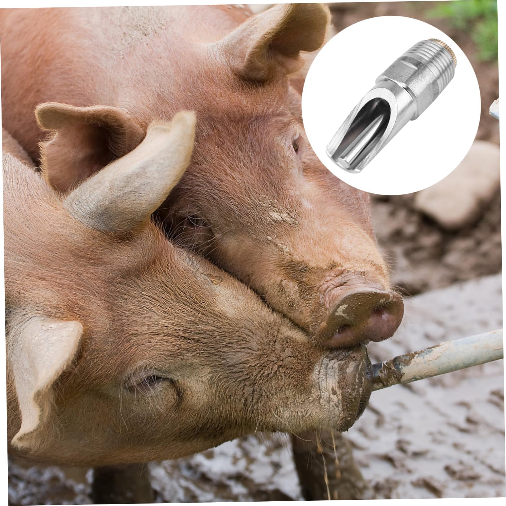 Automatische Schweinenippel Tränke Langlebig und Auslaufsicher 10 Stück aus Edelstahl für Ferkel und Mastschweine in Tierhaltung