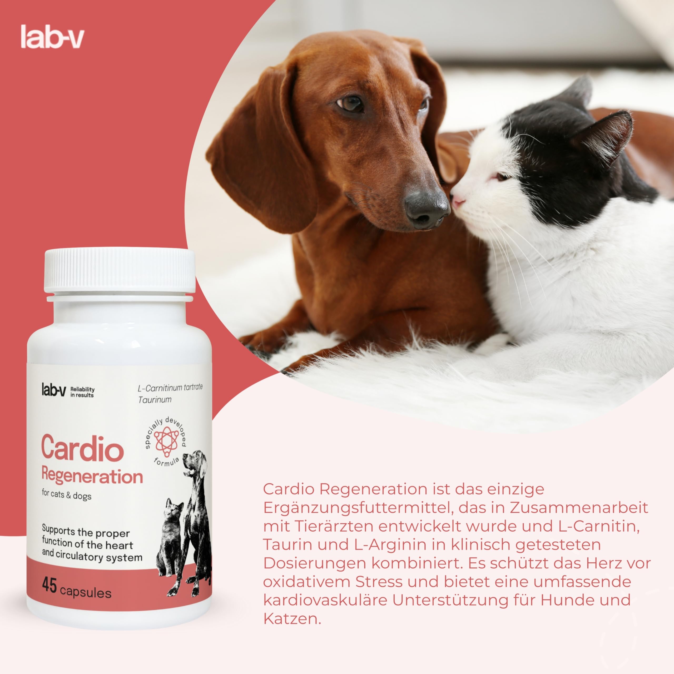 Cardio Regeneration Lab-V, 45 Kapseln, fortgeschrittene Herzunterstützung für Hunde und Katzen, tierärztliche Formel mit Taurin, L - Arginin und L - Carnitin für Hunde und Katzen, gesundes Herz