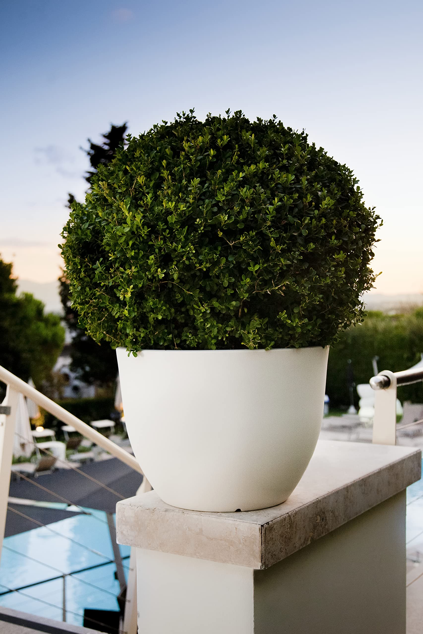 Vaso Per Piante Kentis Da Esterno E Interno – Coprivaso Decorativo Con Riserva D'Acqua, Made In Italy (Diametro 32cm, H 35,2cm) - Colore A Scelta - 3