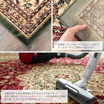 サヤンサヤン ペルシャ風 ラグ マット レジェンドⅠ 200x250 3畳 Amazon | サヤンサヤン ペルシャ柄 ラグ マット レジェンドⅠ