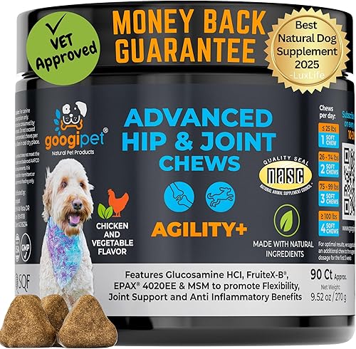 Googipet Suplemento de cadera y articulaciones para perros, glucosamina para perros, masticables suaves con mejillones de labios verdes para perros,
