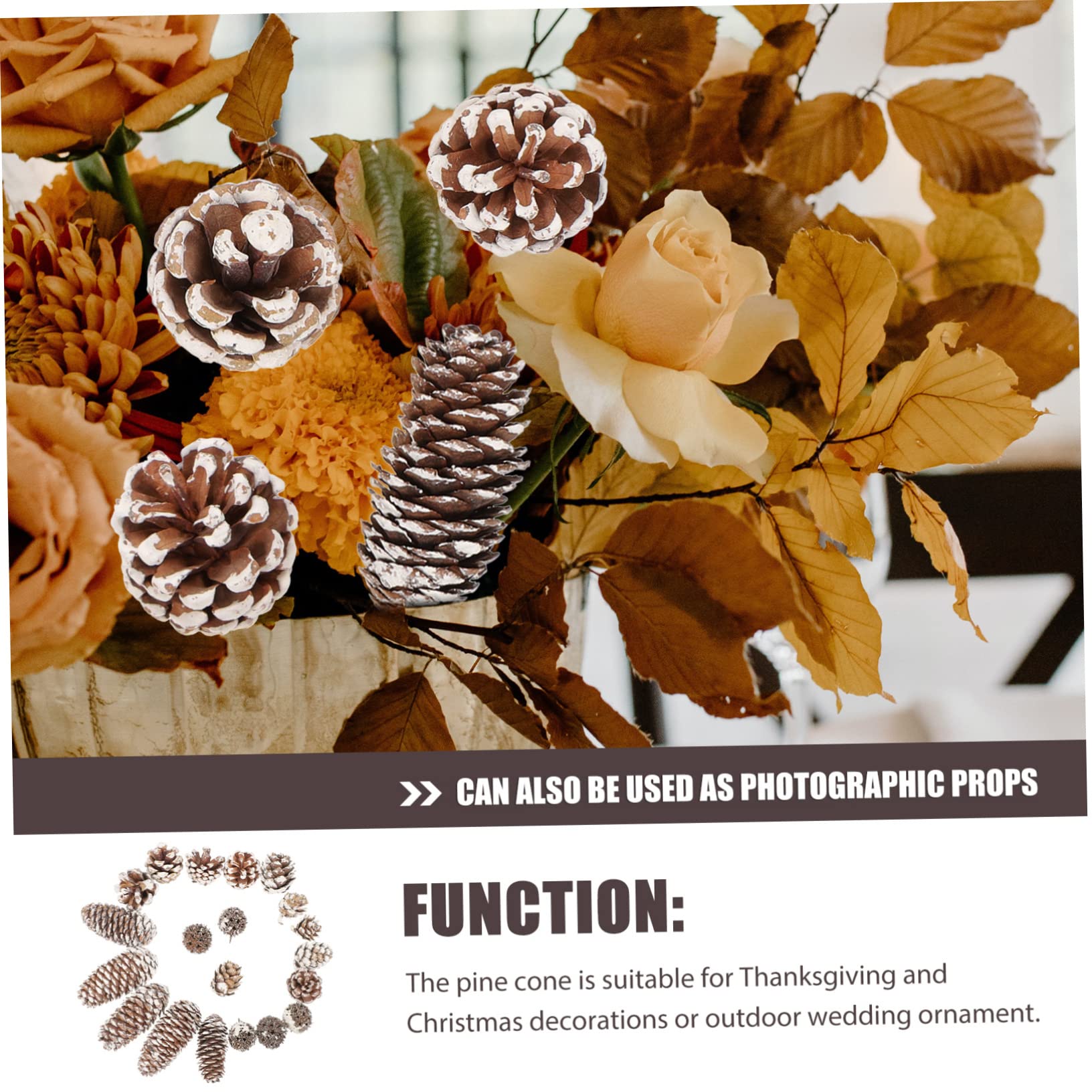 SHINEOFI 3 Set di Decorazioni Natalizie Vere Essiccate Allingrosso Decorazioni per La Casa Forniture Artigianali