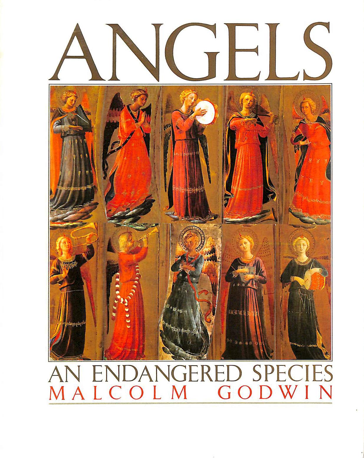 Angels: An Endangered Species