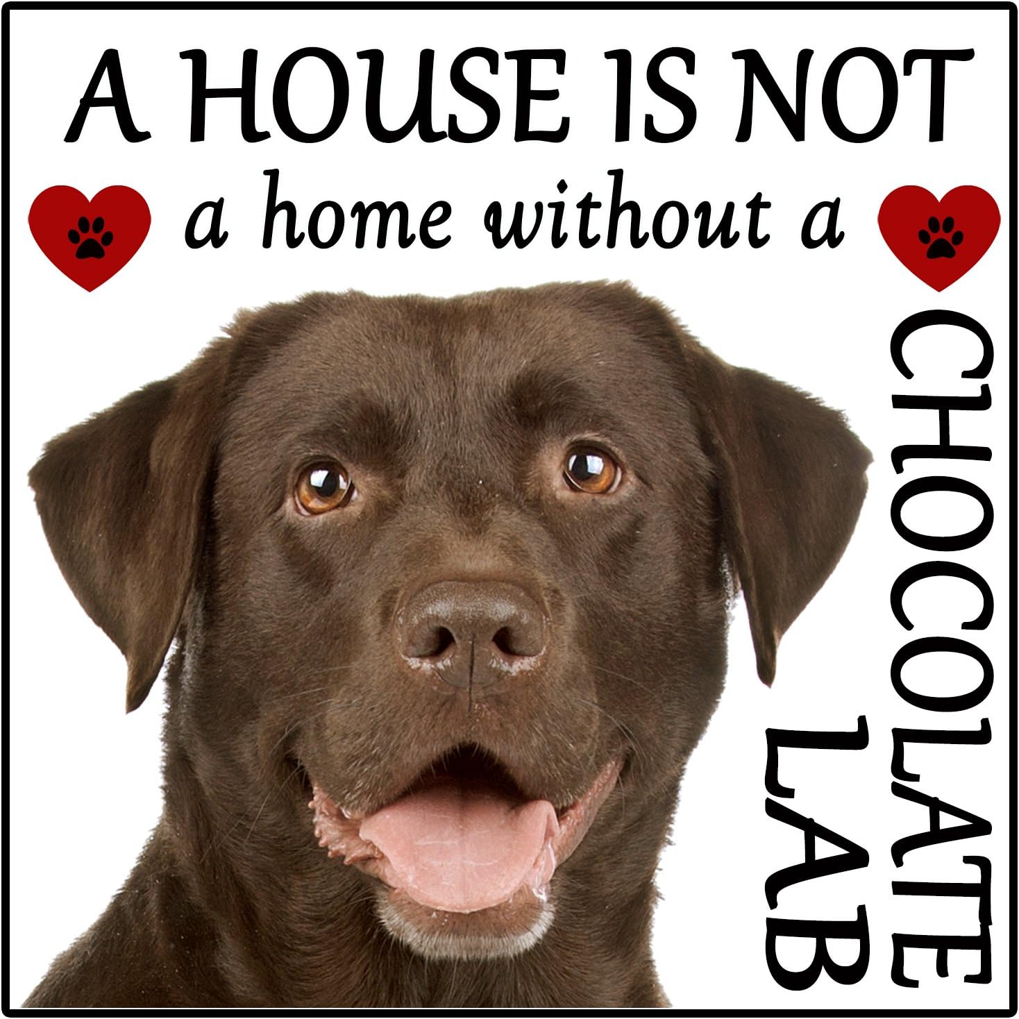 Labrador Chocolate Lab Dog Gift "House is not a Home" Fridge Magnet, size 5" x 5".