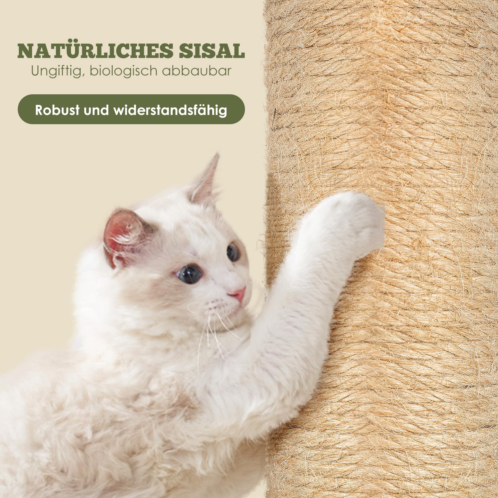 HEVOL Rascador para Gatos de Poste, 85 cm Arbol Rascadors Gato con Cuerda De Sisal Premium, Arbol Rascador de Gato con Diseño de Bola Colgante, Torres para Gatos Interior envía 1 Juguete de Plumas