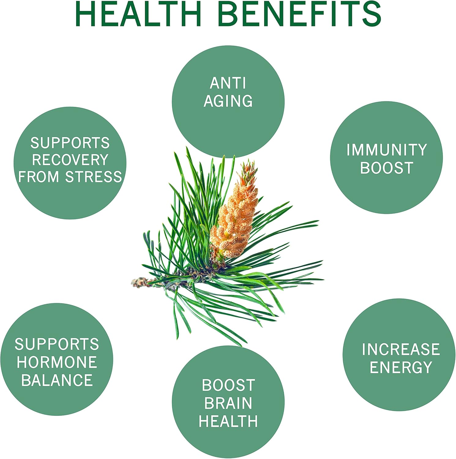 INCAS 100% USDA Organic Pine Pollen Powder (6 Ounces) Non GMO Verified 99% Cracked Cell Wall, Wild HARVESTED, Non-Irradiated, Boosts Energy & Immune Support, No Fillers or Additives - Image 5