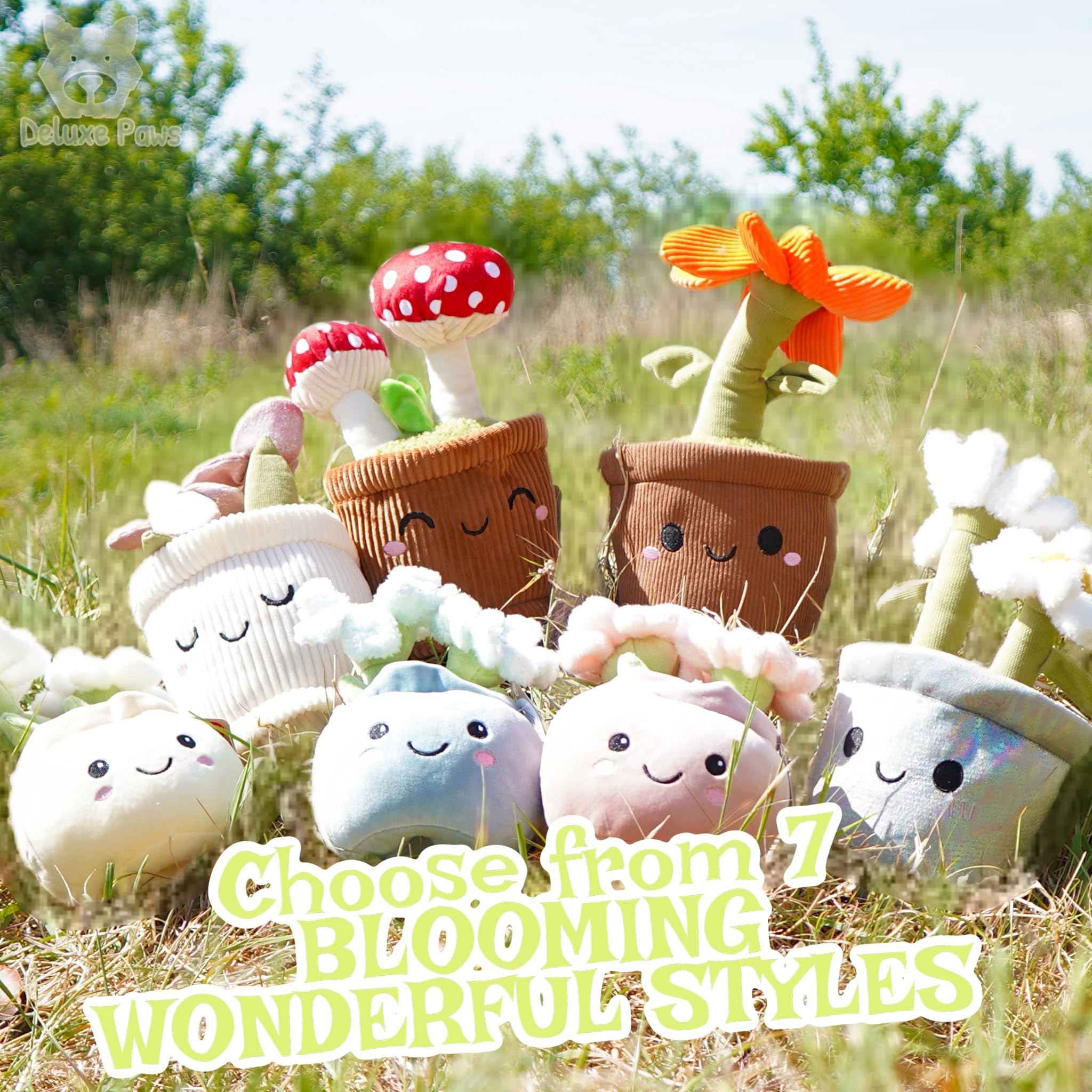 View 5