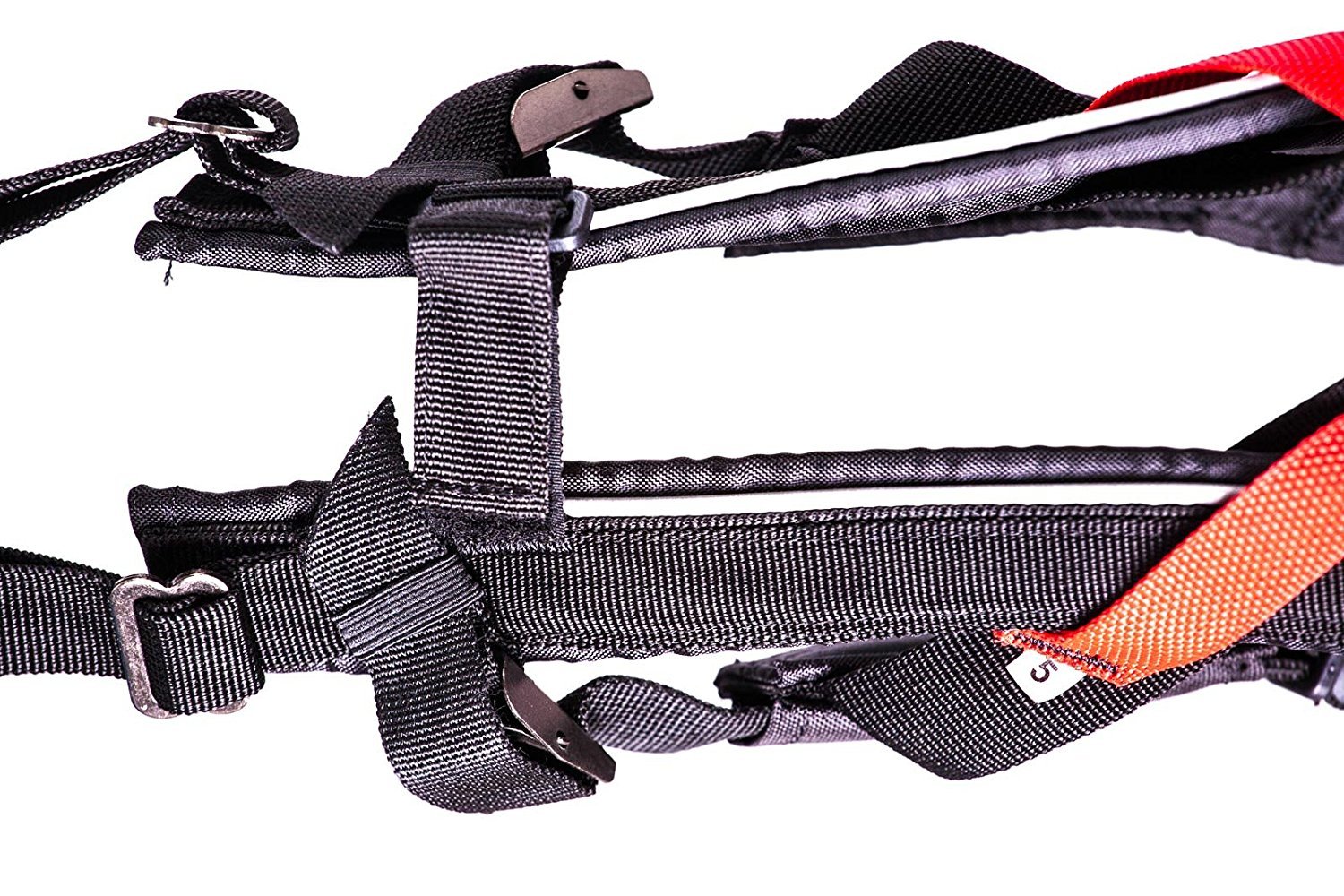 Non-Stop dogwear - Harnais Canicross Freemotion pour Chien - Taille 4
