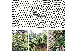 Honeysuckle Trellis: Expandable Plant Support for Climbing Beauties