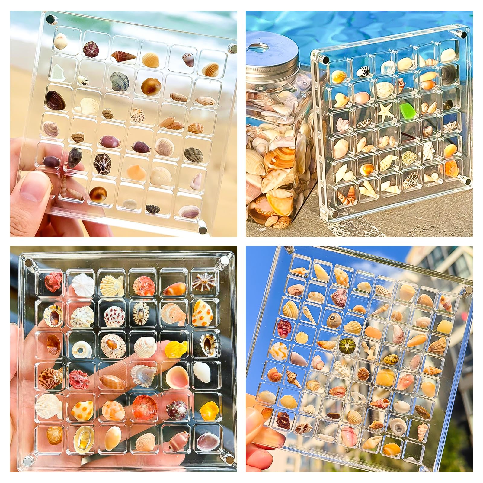 Magnetische Acryl-Muschelbox - 36 Fächer Für Muscheln, Edelsteine & Perlen, Transparente Aufbewahrung