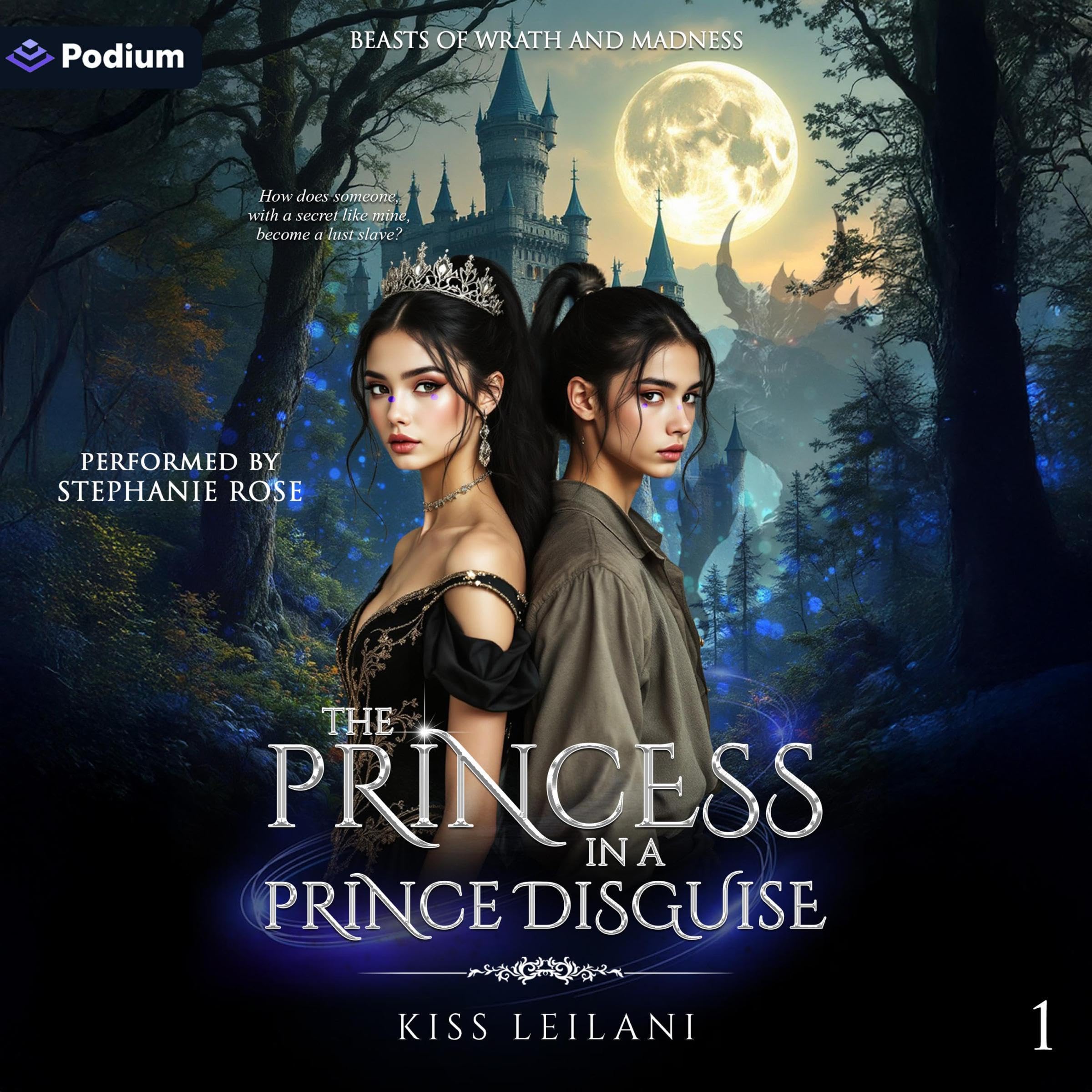 Cover art for The Princess in a 'Prince' Disguise