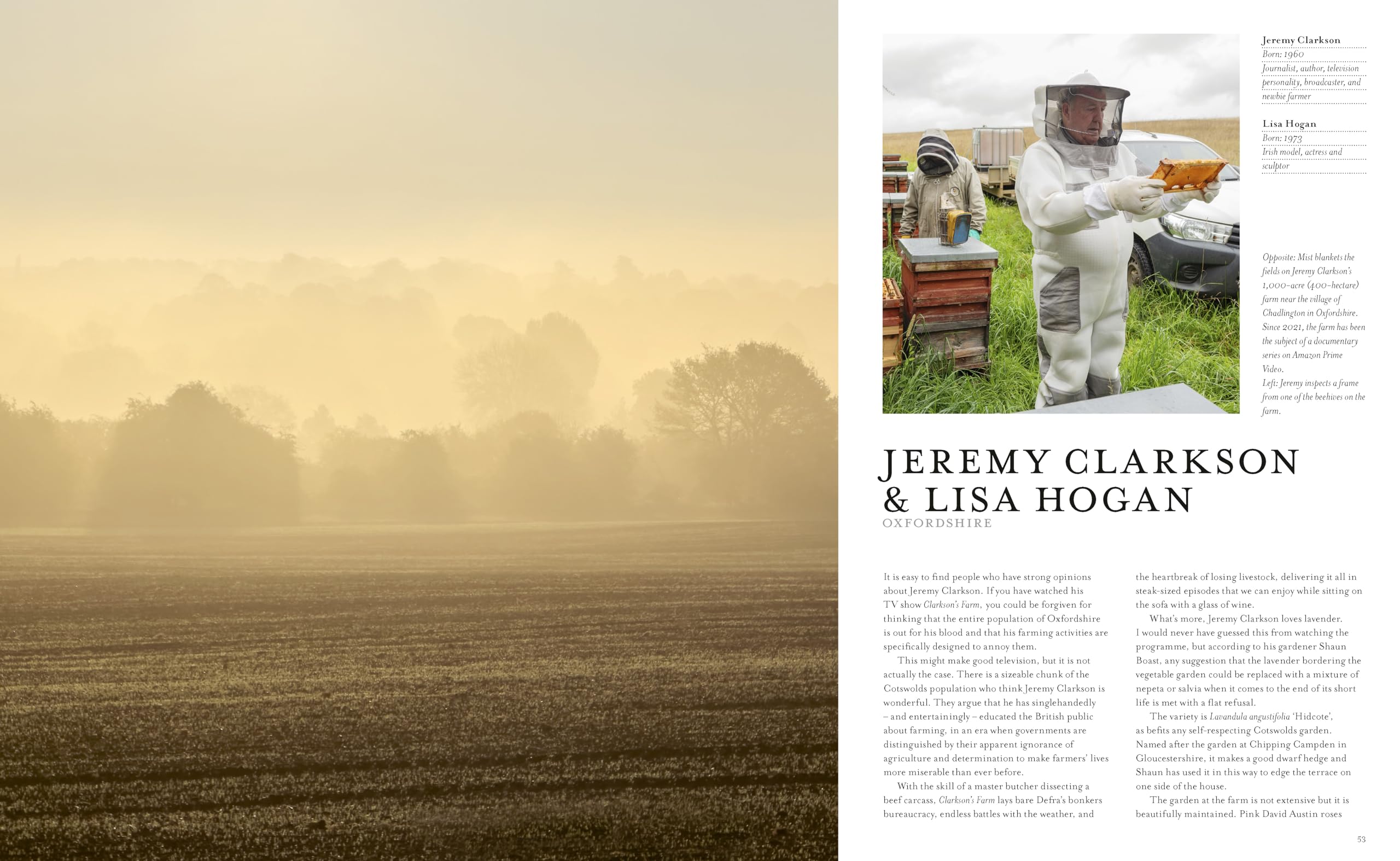 The Secret Gardeners (updated edition): Britain’s Creatives Reveal Their Private Sanctuaries