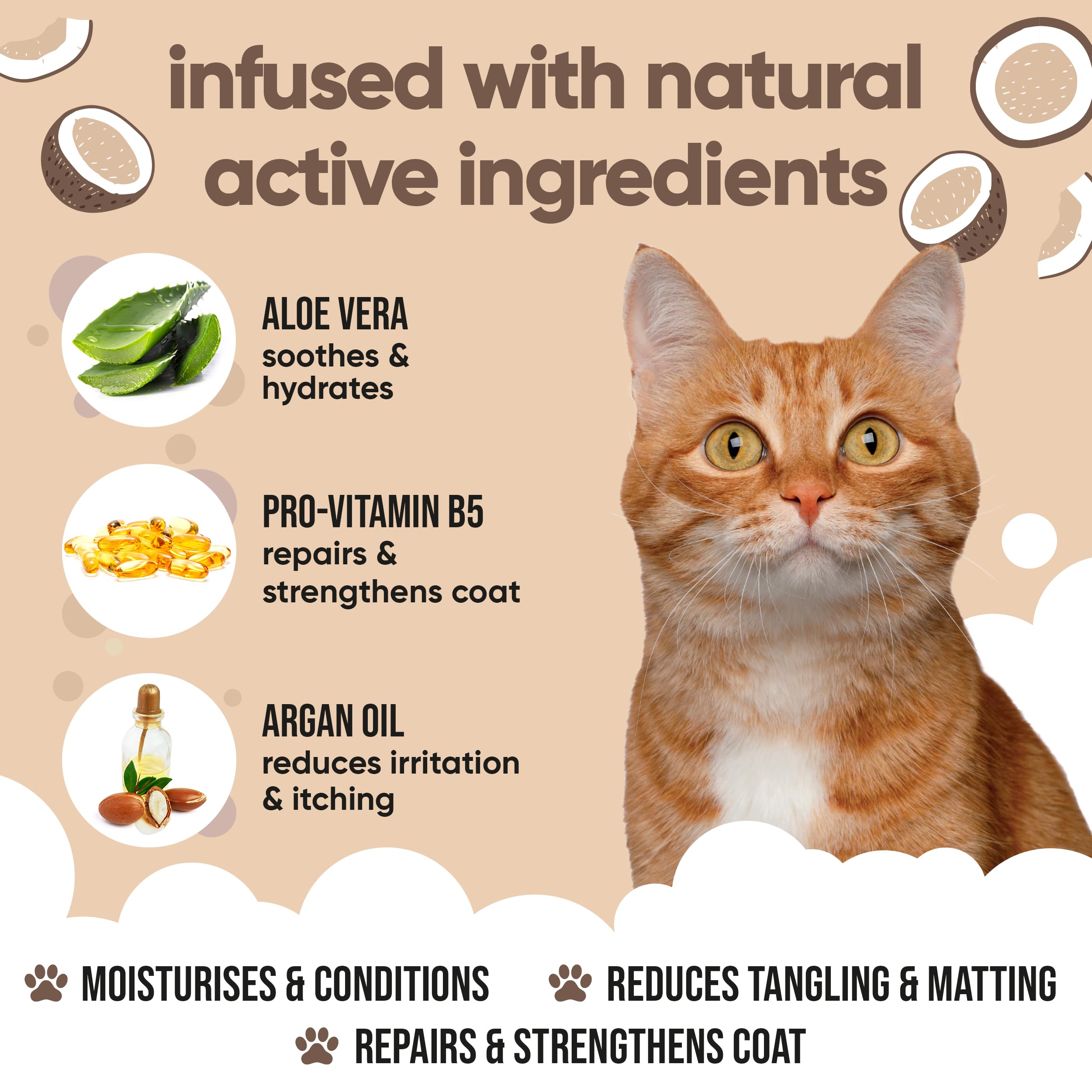 Buddycare Coconut Cat Après-shampoing pour Chat (500 ML) sans cruauté Envers Les Animaux, Produit de toilettage végétalien | pH équilibré, SLS, sulfate et sans paraben | Idéal pour Une Utilisation