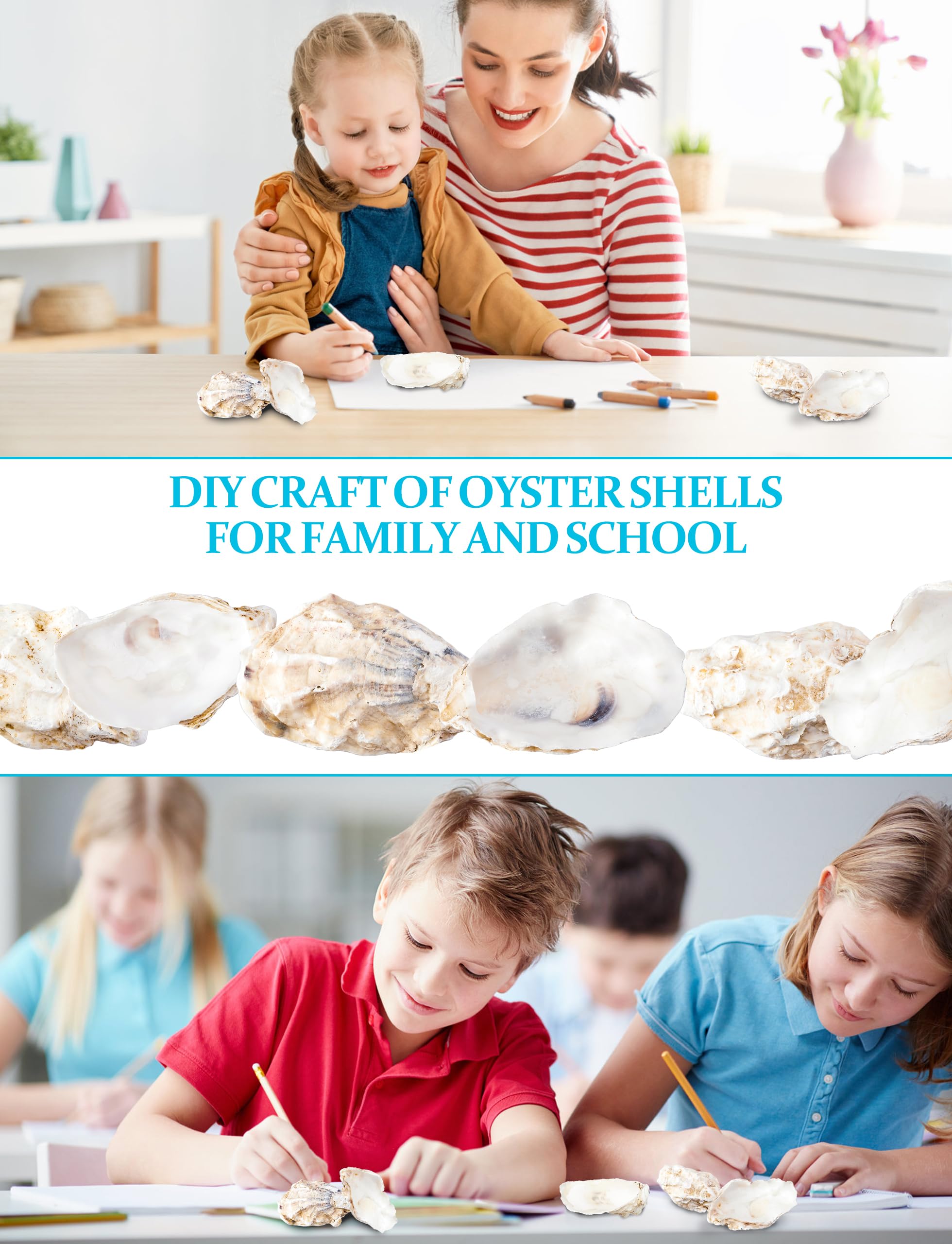 Letravagance 20Pcs Oyster Shells for Crafts? 3