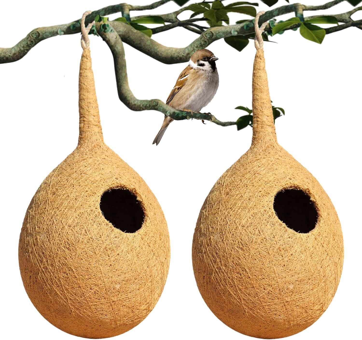 Organic Large Size Bird NEST Set of 2, Purely Made by Bird Building Technique Bird House (Hanging, Wall Mounting, Tree Mounting) (Pack of 2)