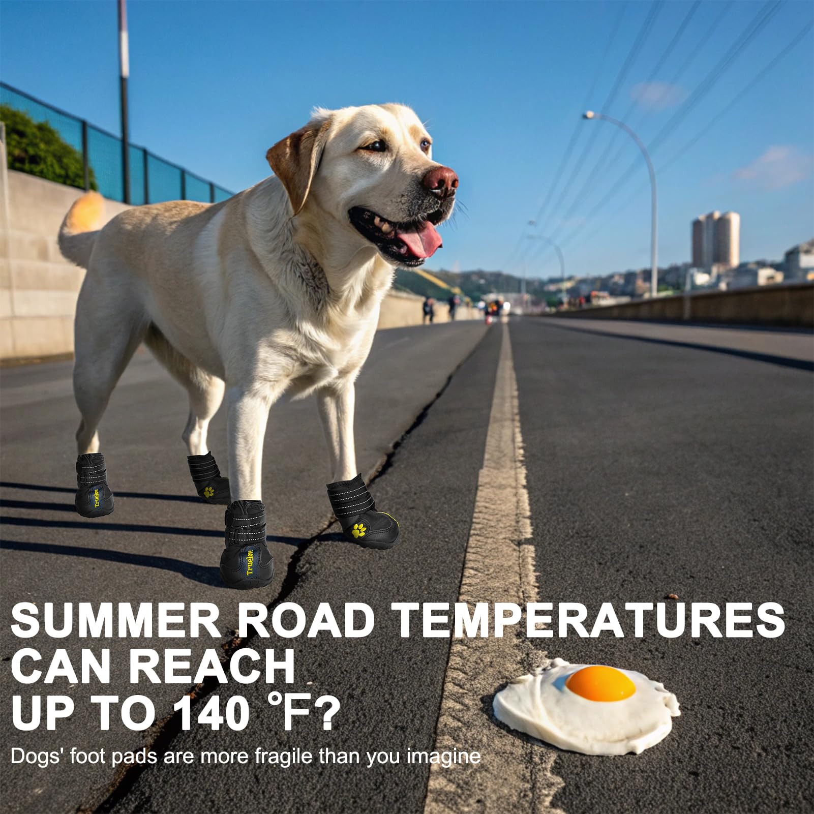 EXPAWLORER Chaussures antidérapantes pour chien – Bottes imperméables et résistantes aux taches avec sangles réfléchissantes pour activités de plein air, protections de pattes pour les pattes blessées