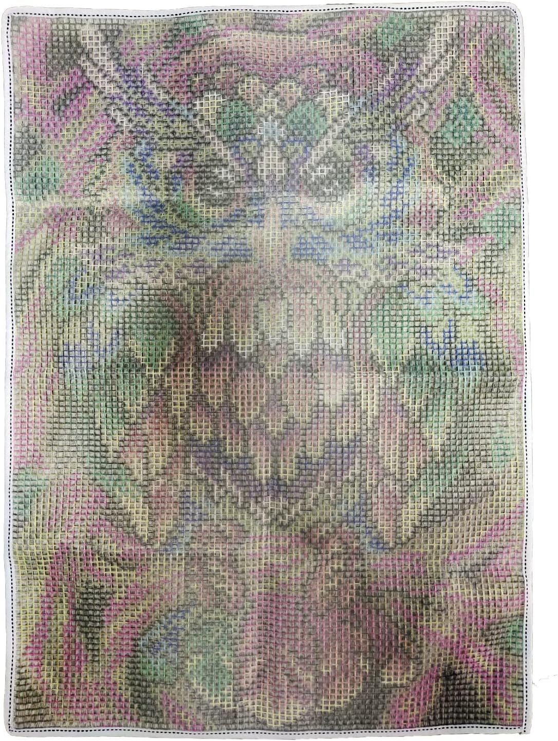 Latch Hook Rug Kits for Adults, Colorful Owl with Preprinted Canvas Pattern DIY Carpet Tapestry Rug Cushion Yarn Needlepoint, 22.5X33.5Inch / 58X85cm