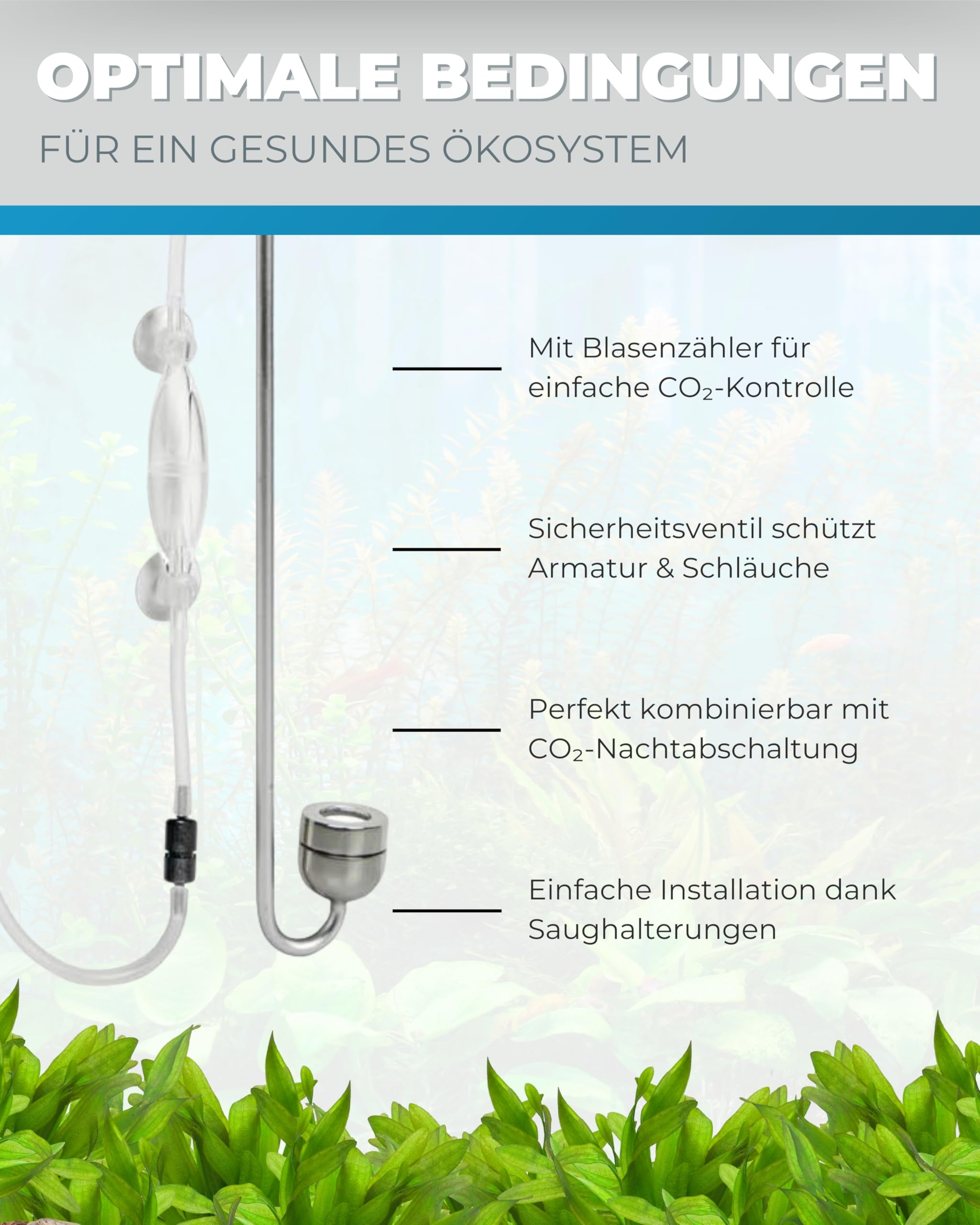 Dupla Scaping Tools CO2 Diffusor Set L - zur CO2 Versorgung im Aquarium