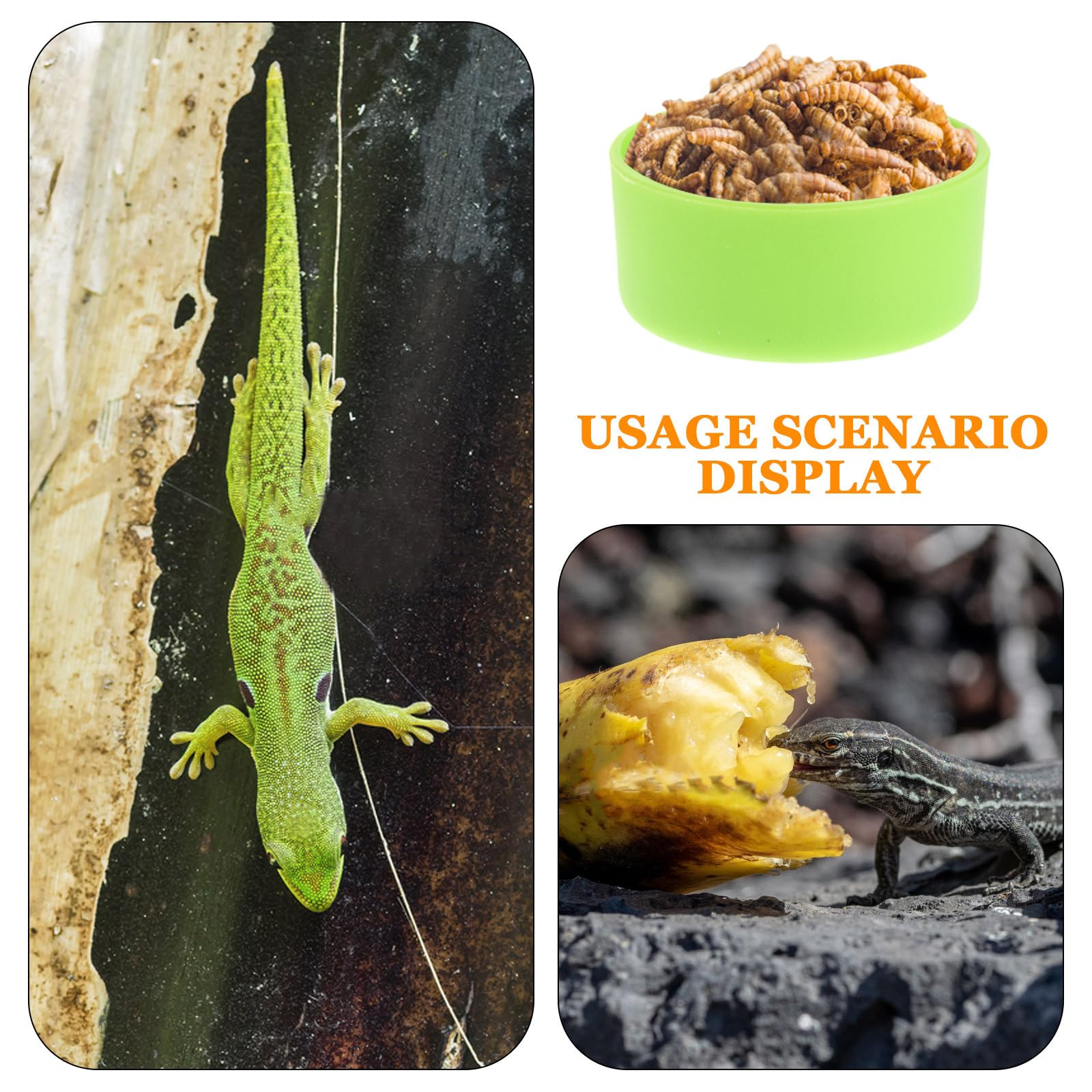 Gatuida 30 Pezzi di Cibo e Acqua per rettili per terrario o Acquario per rettili - Ciotola Verde per Drago Barbuto, Lucertola, Geco, Camaleonte, paguro, tarantola, Serpente, Ragno, Rana