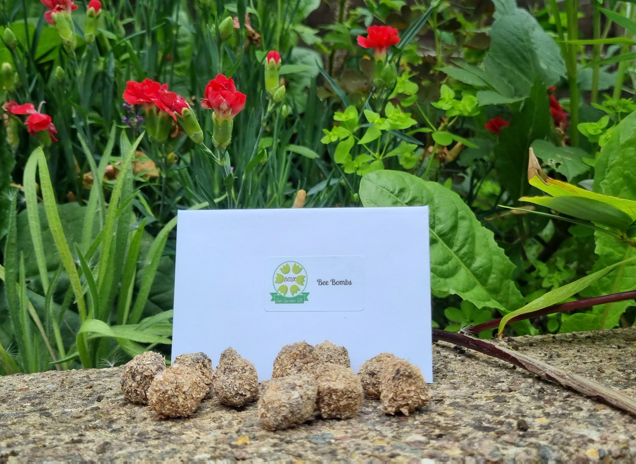 Bee Bombs x 10 Handmade, Biodegradable, Pet Friendly, Child Safe, Chemically Free