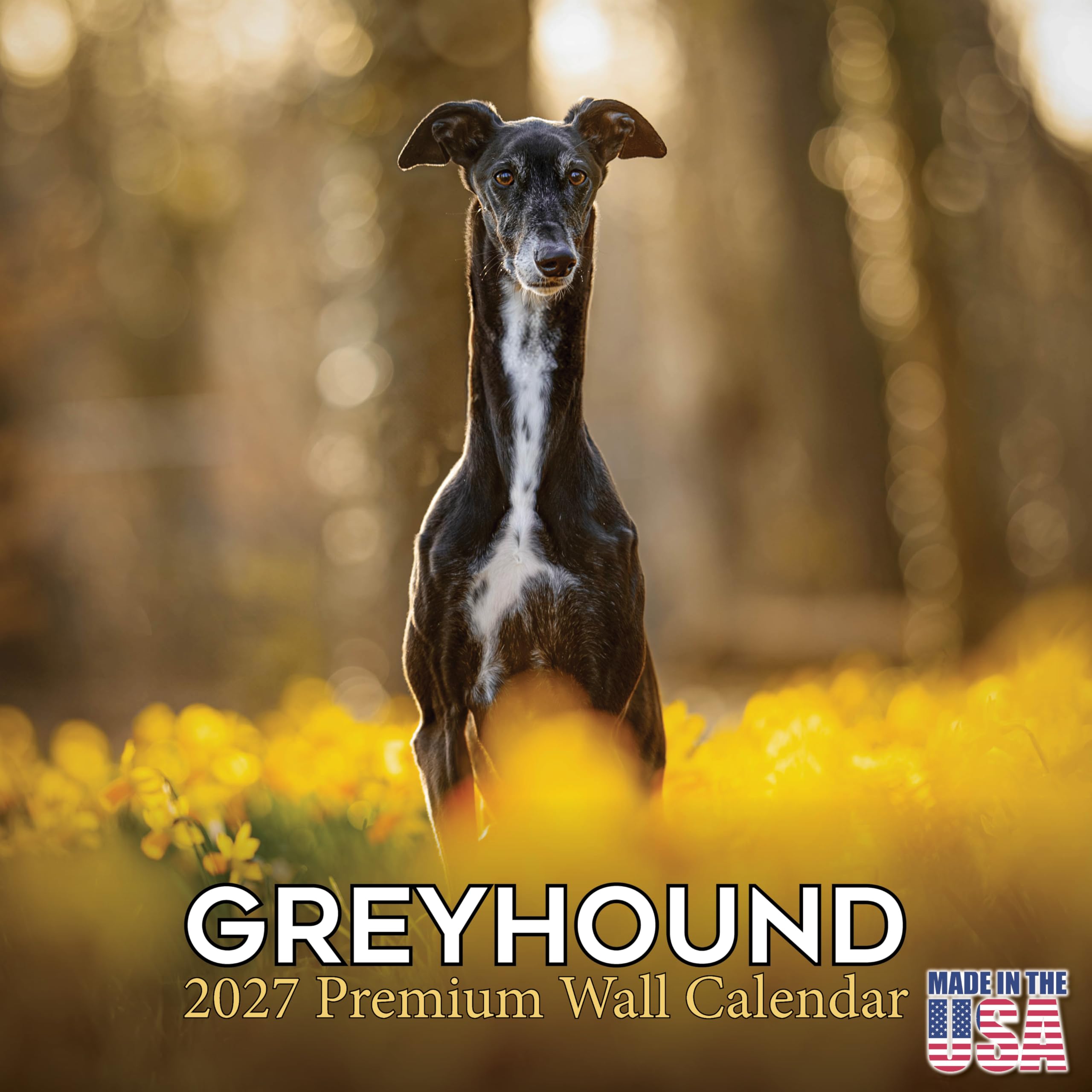 2025 2026 Greyhound Calendar - Dog Breed Monthly Wall Calendar - 12" x 24" Open - Thick No-Bleed Paper - Giftable - Academic Teacher's Planner Calendar Organizing & Planning - Made in USA โ image 1
