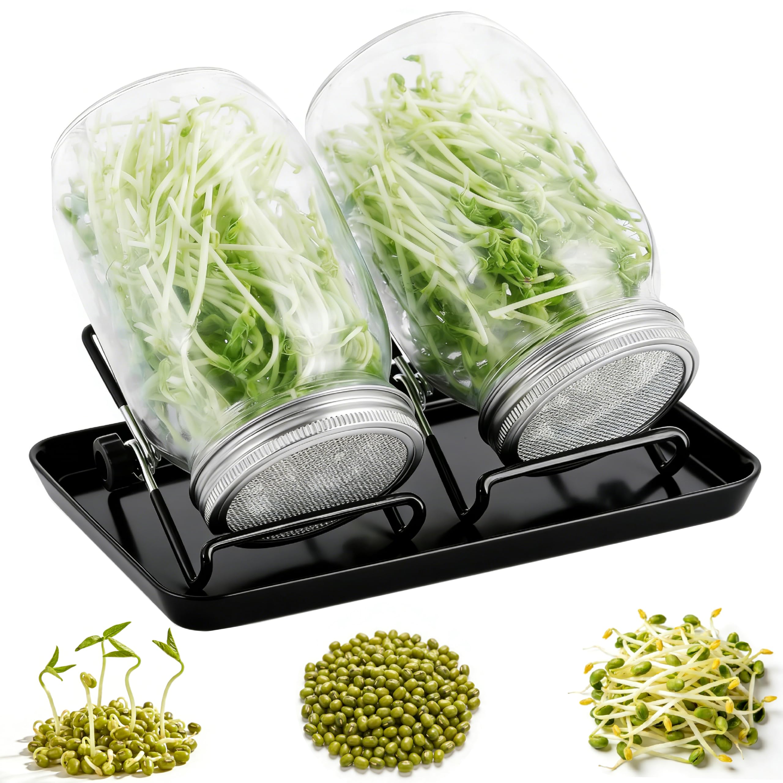lot de 2 pots de germination 750 ml +