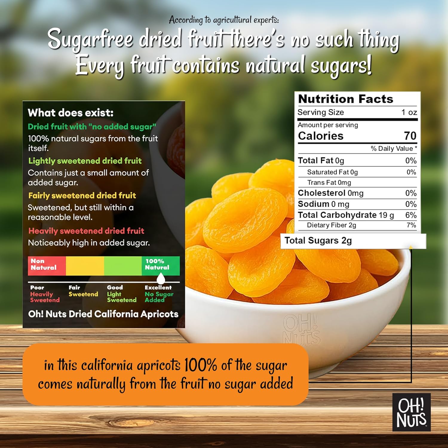 Oh! Nuts Dried Apricots Turkish - 2 lb - Dried Fruit - No Sugar Added - Dehydrated Fruit Bites - Packed in New York Zip-Seal Bag for Exceptional Freshness