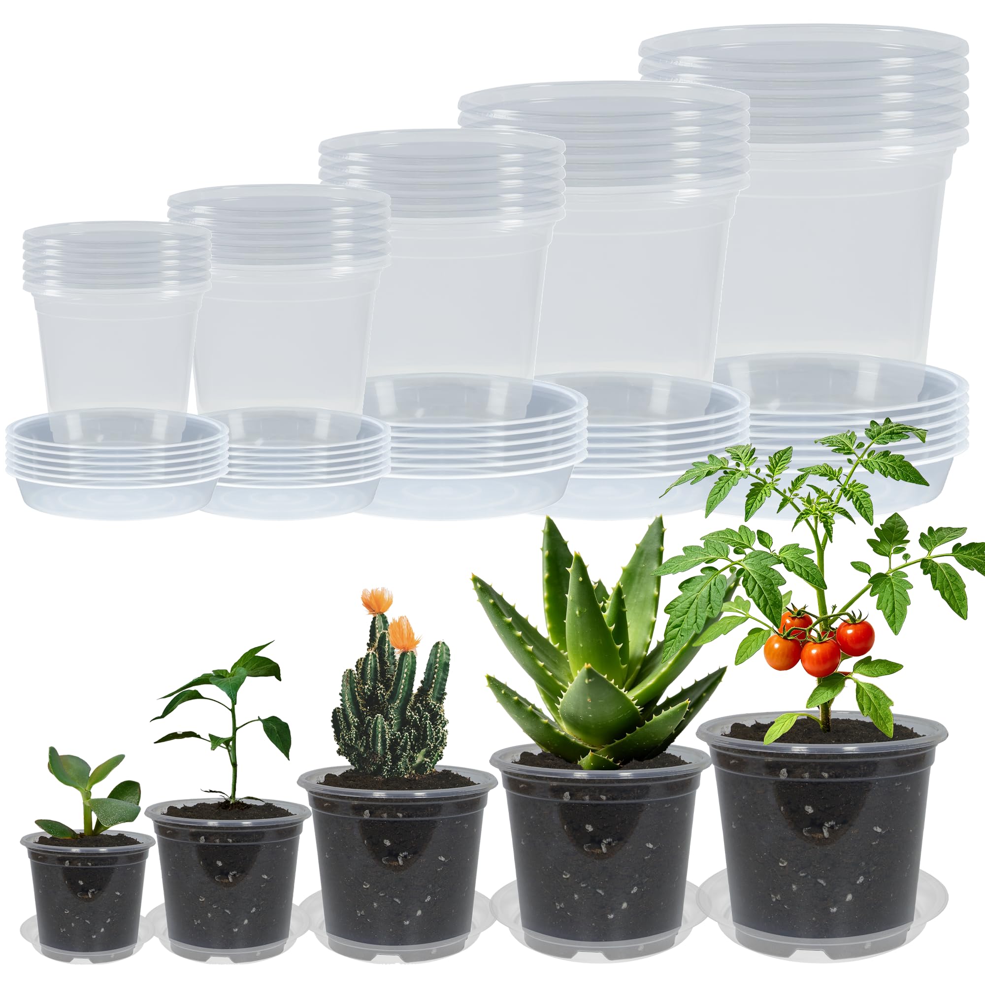 TNTIWQ 30 Pack Clear Nursery Pots with Saucers